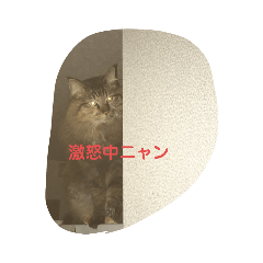 [LINEスタンプ] 猫ミニ4