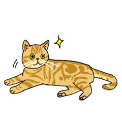 [LINEスタンプ] いろんなねこのスタンプ。