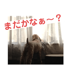 [LINEスタンプ] バディとグッキー