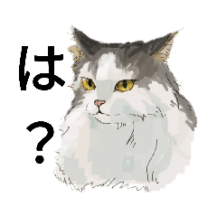 [LINEスタンプ] 猫カフェ macaron