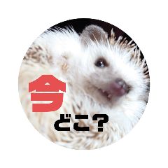 [LINEスタンプ] 我が家のハリちゃん④