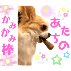 [LINEスタンプ] リンとユキのスタンプ3