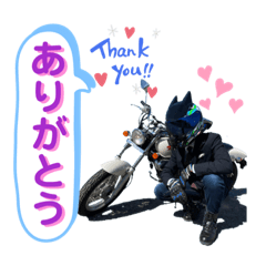 [LINEスタンプ] AQUA Rider/アクアライダー