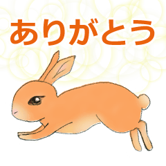 [LINEスタンプ] うさぎの手書きイラスト