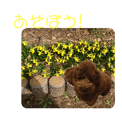 [LINEスタンプ] ティナのスタンプ10