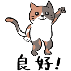 [LINEスタンプ] 日常生活をおくる猫