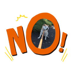 [LINEスタンプ] 柴犬 サブロウさんとシロウちゃん