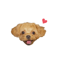 [LINEスタンプ] プウととうふ3