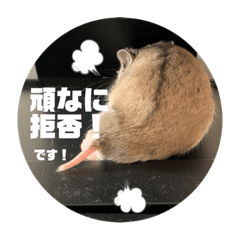 [LINEスタンプ] うにすた-日常編3-