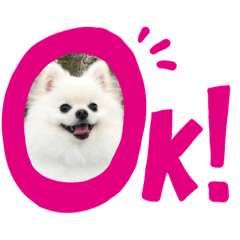 [LINEスタンプ] ひかる日常