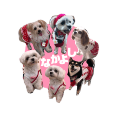 [LINEスタンプ] いちご組のみんな