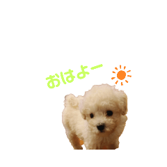 [LINEスタンプ] むーくん日和