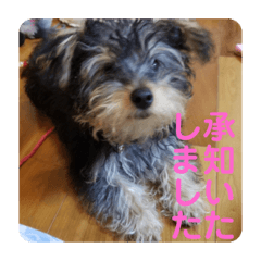 [LINEスタンプ] ミカリンスタンプ♪