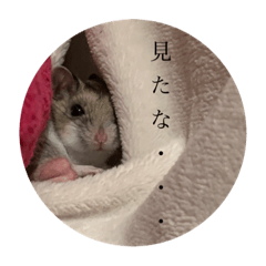 [LINEスタンプ] うにすた-プライベート編-