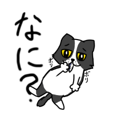 [LINEスタンプ] いつでもくうふくねこ