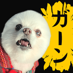 [LINEスタンプ] 白ポメ千代子 第2弾