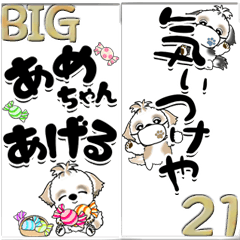 [LINEスタンプ] 【Big】シーズー犬21『関西弁』