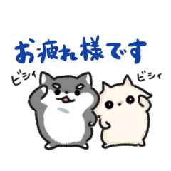 [LINEスタンプ] チワワのゆるかわ敬語スタンプ