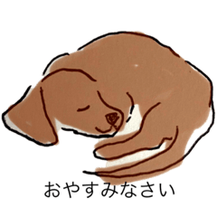 [LINEスタンプ] ダックスフントと女の子、ひよこの姉妹たち