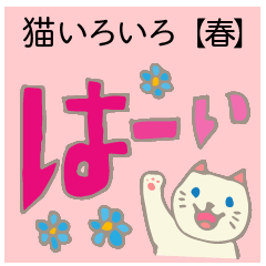 [LINEスタンプ] 見やすい猫いろいろスタンプ【春】の画像（メイン）