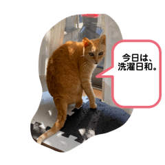 [LINEスタンプ] がんばれ、れもんちゃん4