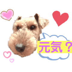 [LINEスタンプ] ウェルシュテリア ♡ ジェリーさんの1日