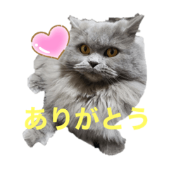 [LINEスタンプ] 1年中使えるマカロンのスタンプ