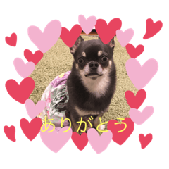 [LINEスタンプ] 犬わんわんスタンプ