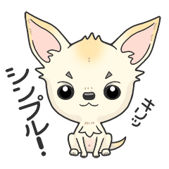 [LINEスタンプ] ごきげんなチワワのシンプルな日常