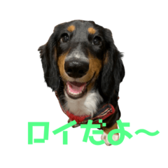 [LINEスタンプ] 20.ロイ