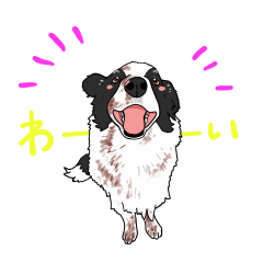 [LINEスタンプ] ボーダーコリーりおと愉快な仲間たち