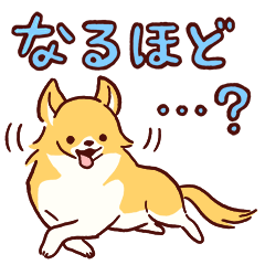 [LINEスタンプ] チワワde会話