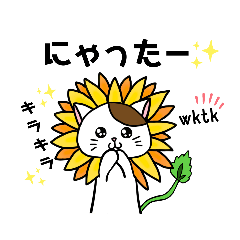 [LINEスタンプ] ひまわりねこ 。