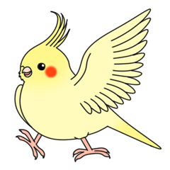 [LINEスタンプ] おしゃべりオカメインコちゃん