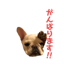[LINEスタンプ] フレブルのマイル（かわいく敬語）