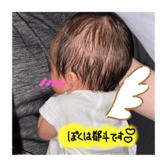 [LINEスタンプ] ぼく、みやとですっ