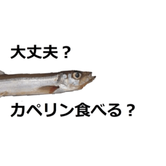 [LINEスタンプ] カペリンくんの画像（メイン）