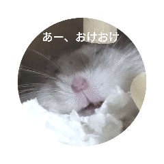 [LINEスタンプ] とろちゃん①