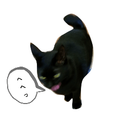 [LINEスタンプ] うちの猫集結