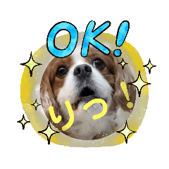 [LINEスタンプ] キャバリア ぎんとき スタンプ その2