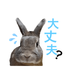 [LINEスタンプ] チビSTYLE♡