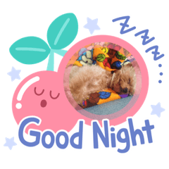 [LINEスタンプ] 愛犬陸コレクション