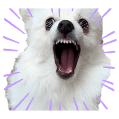 [LINEスタンプ] ブランだお