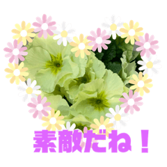 [LINEスタンプ] ご縁