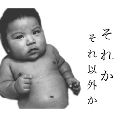 [LINEスタンプ] KOUCHI ブラザーズ