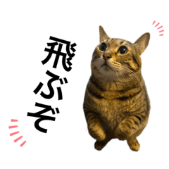 [LINEスタンプ] ぷぅちゃん♡②