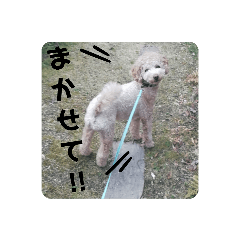[LINEスタンプ] テオのシンプルスタンプ。