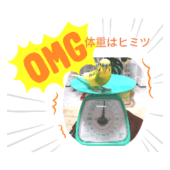 [LINEスタンプ] おまちゃんの日常♪