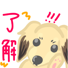 [LINEスタンプ] シューデッドダックスちゃん