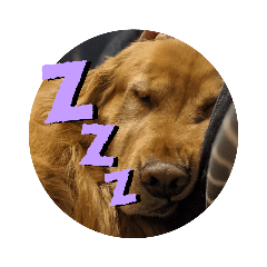 [LINEスタンプ] カンナと愛犬
